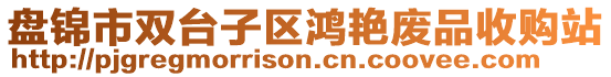 盤錦市雙臺(tái)子區(qū)鴻艷廢品收購(gòu)站