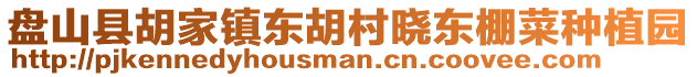 盤(pán)山縣胡家鎮(zhèn)東胡村曉東棚菜種植園