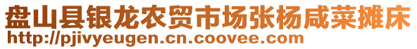 盤山縣銀龍農貿市場張楊咸菜攤床