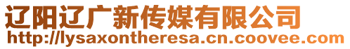 遼陽遼廣新傳媒有限公司