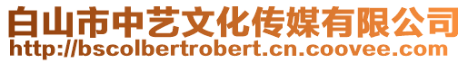 白山市中藝文化傳媒有限公司