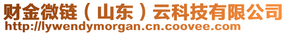 財金微鏈（山東）云科技有限公司