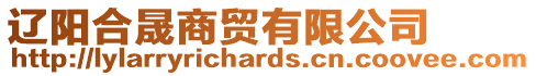 遼陽(yáng)合晟商貿(mào)有限公司