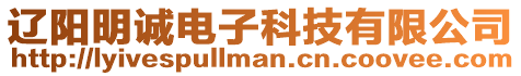 遼陽明誠電子科技有限公司