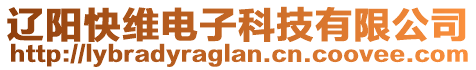 遼陽快維電子科技有限公司