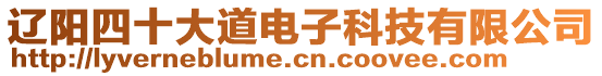 遼陽四十大道電子科技有限公司