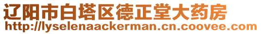 遼陽市白塔區(qū)德正堂大藥房