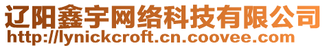 遼陽(yáng)鑫宇網(wǎng)絡(luò)科技有限公司