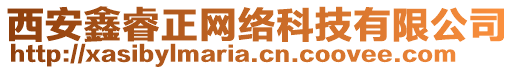 西安鑫睿正網(wǎng)絡(luò)科技有限公司