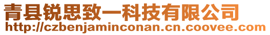 青縣銳思致一科技有限公司