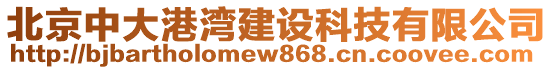 北京中大港灣建設科技有限公司