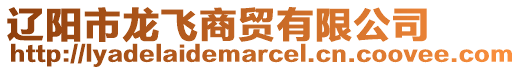 遼陽(yáng)市龍飛商貿(mào)有限公司