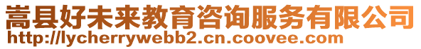 嵩縣好未來(lái)教育咨詢服務(wù)有限公司