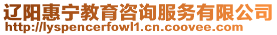 遼陽惠寧教育咨詢服務(wù)有限公司