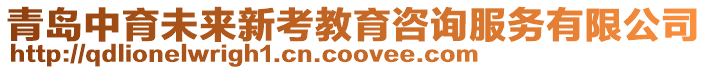 青島中育未來新考教育咨詢服務(wù)有限公司