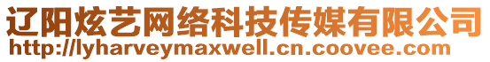 遼陽(yáng)炫藝網(wǎng)絡(luò)科技傳媒有限公司