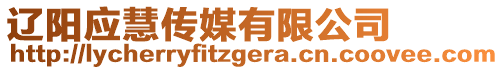 遼陽應(yīng)慧傳媒有限公司