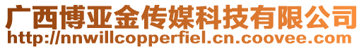 廣西博亞金傳媒科技有限公司