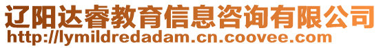 遼陽達睿教育信息咨詢有限公司