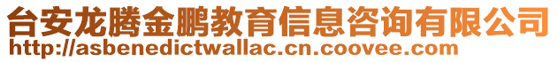 臺安龍騰金鵬教育信息咨詢有限公司