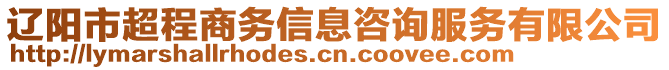 遼陽市超程商務(wù)信息咨詢服務(wù)有限公司