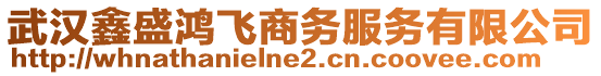 武漢鑫盛鴻飛商務(wù)服務(wù)有限公司