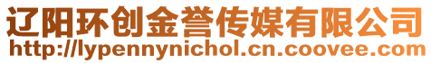 遼陽(yáng)環(huán)創(chuàng)金譽(yù)傳媒有限公司