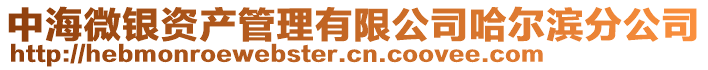 中海微銀資產管理有限公司哈爾濱分公司