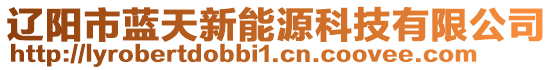 遼陽(yáng)市藍(lán)天新能源科技有限公司