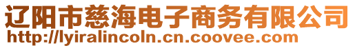 辽阳市慈海电子商务有限公司