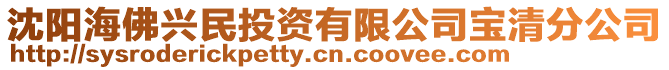 沈陽海佛興民投資有限公司寶清分公司