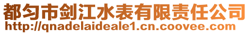 都匀市剑江水表有限责任公司