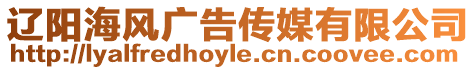 遼陽(yáng)海風(fēng)廣告?zhèn)髅接邢薰? style=