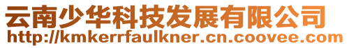 云南少華科技發(fā)展有限公司