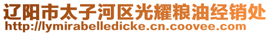 遼陽市太子河區(qū)光耀糧油經(jīng)銷處