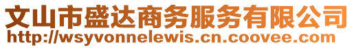 文山市盛達商務服務有限公司