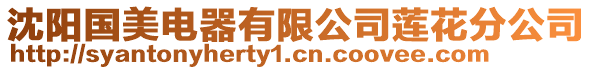 沈陽國美電器有限公司蓮花分公司