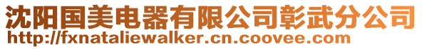 沈陽國美電器有限公司彰武分公司