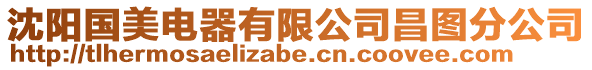 沈陽國美電器有限公司昌圖分公司