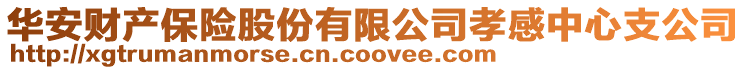 華安財產保險股份有限公司孝感中心支公司