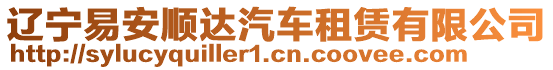 遼寧易安順達汽車租賃有限公司