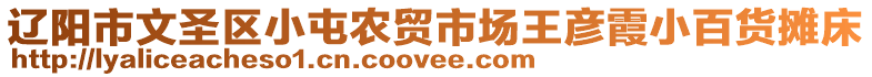遼陽市文圣區小屯農貿市場王彥霞小百貨攤床