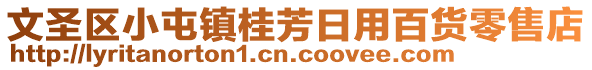 文圣區(qū)小屯鎮(zhèn)桂芳日用百貨零售店