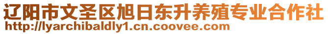 遼陽市文圣區旭日東升養殖專業合作社