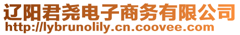 遼陽君堯電子商務有限公司