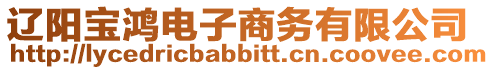遼陽(yáng)寶鴻電子商務(wù)有限公司