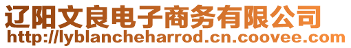 遼陽文良電子商務有限公司