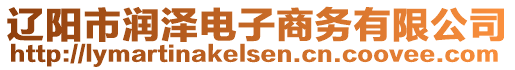 遼陽市潤澤電子商務(wù)有限公司