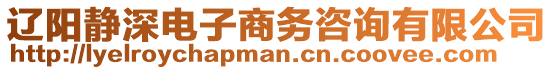 遼陽靜深電子商務(wù)咨詢有限公司