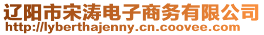 遼陽市宋濤電子商務有限公司